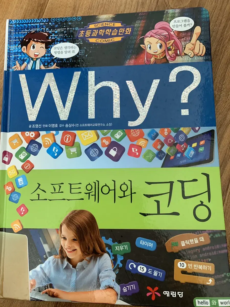 소프트웨어와 코딩 WHY 책